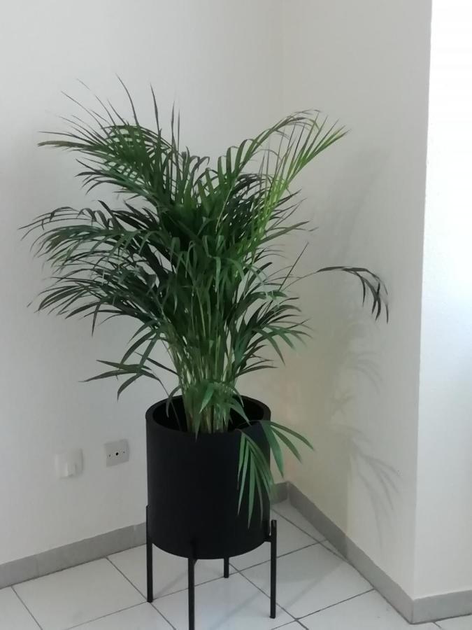 Le 39 Apartment Nimes Ngoại thất bức ảnh